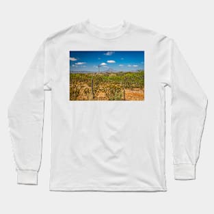 Chihuahuan Desert Windmill Long Sleeve T-Shirt